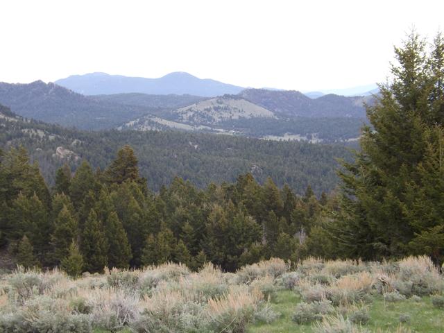 DSCF3033.JPG
