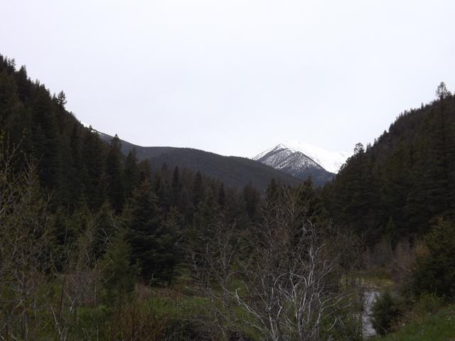 DSCF3037.JPG