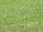 DSCF3050.JPG