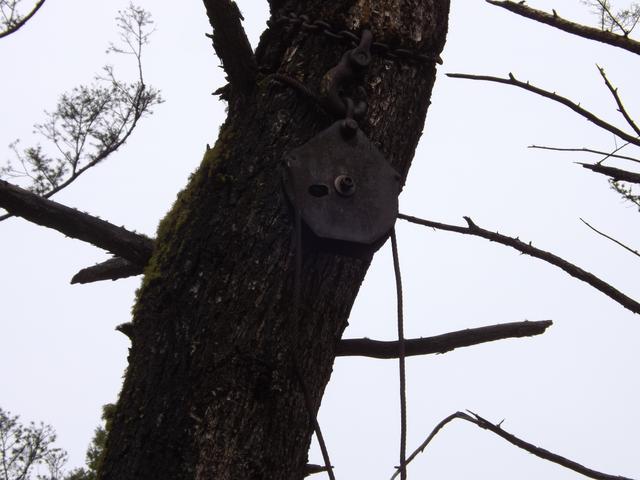 DSCF3054.JPG
