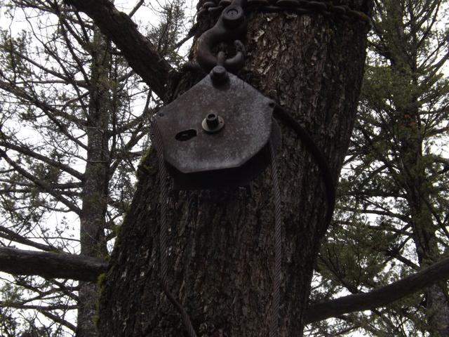 DSCF3055.JPG