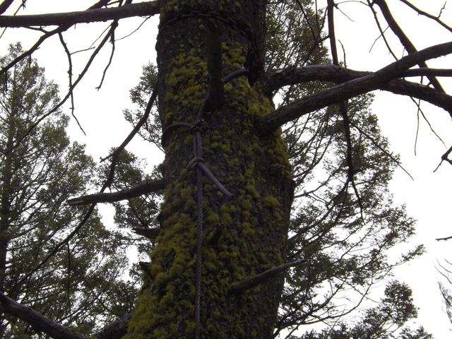 DSCF3056.JPG
