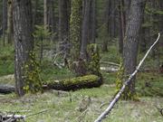 DSCF3058.JPG