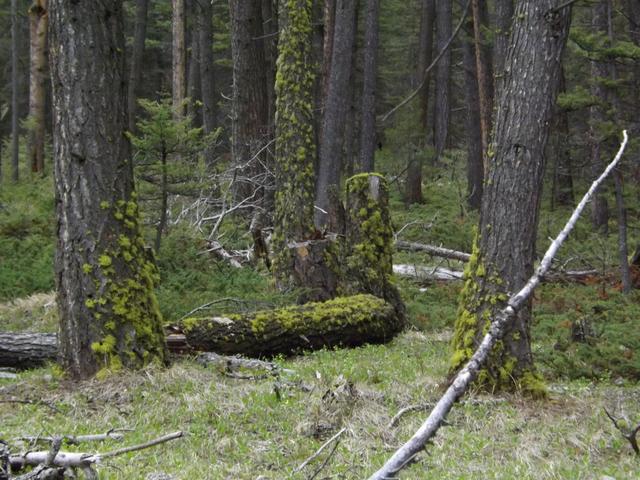 DSCF3058.JPG