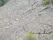 DSCF3059.JPG