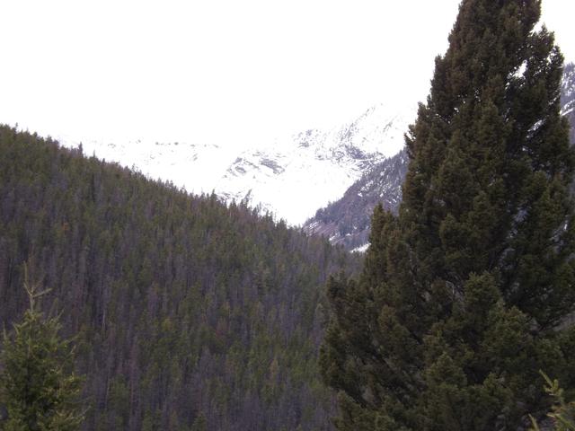 DSCF3060.JPG