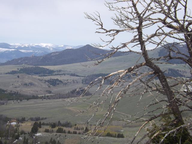 DSCF3066.JPG