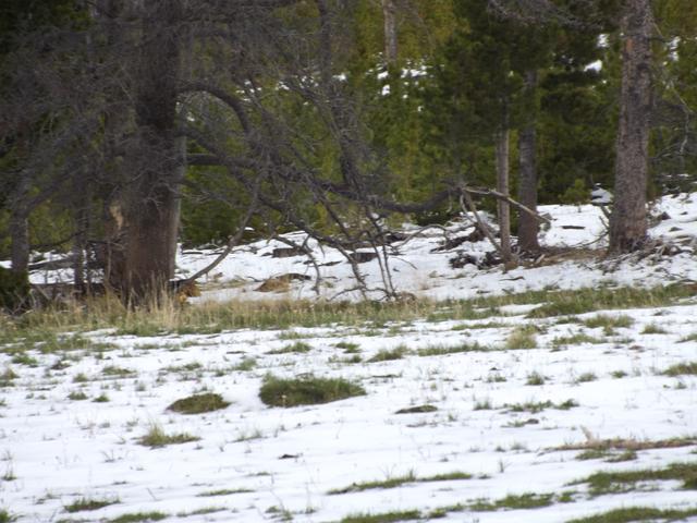 DSCF3067.JPG