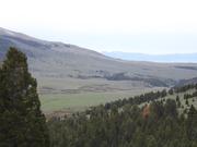 DSCF3071.JPG
