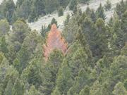 DSCF3073.JPG