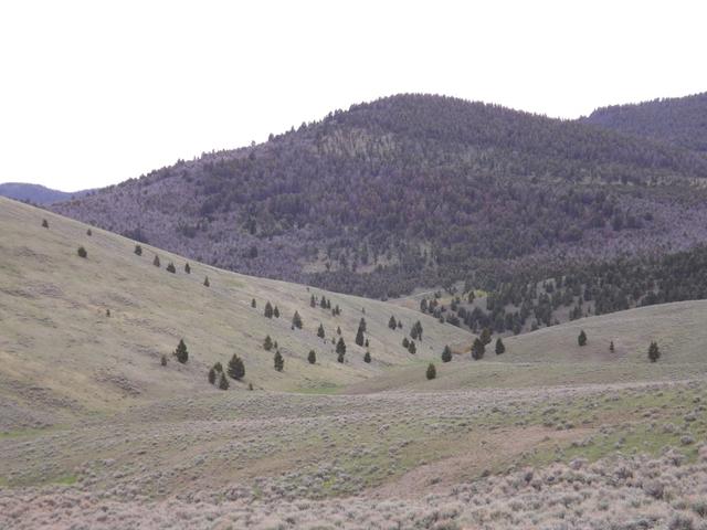 DSCF3083.JPG