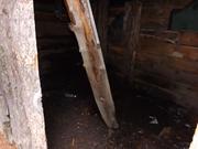 DSCF3120.JPG