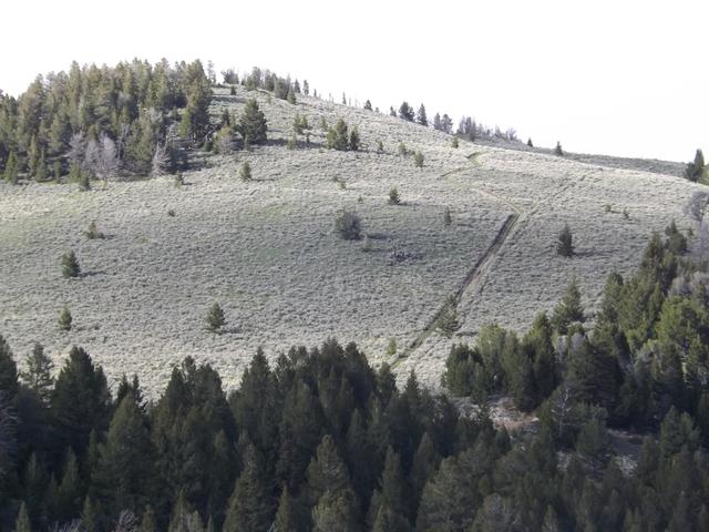 DSCF3125.JPG