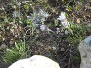 DSCF3128.JPG