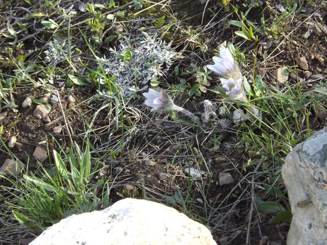 DSCF3128.JPG