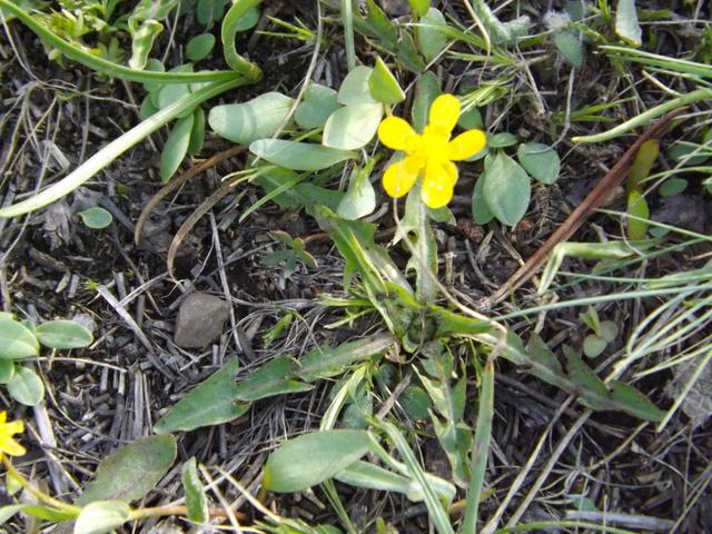 DSCF3130.JPG