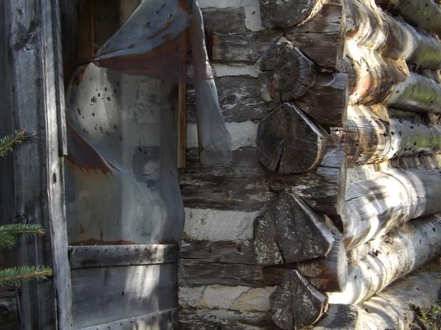 DSCF3132.JPG