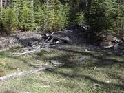 DSCF3134.JPG