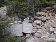 DSCF3145.JPG