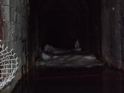 DSCF3150.JPG