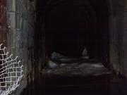 DSCF3151.JPG