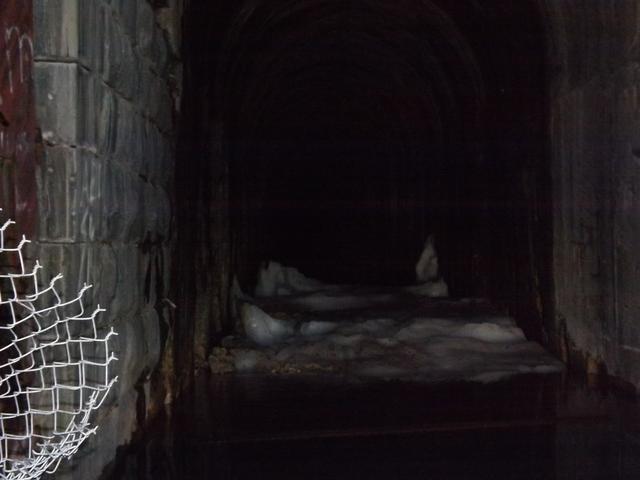 DSCF3151.JPG