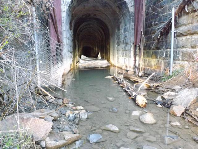DSCF3153.JPG