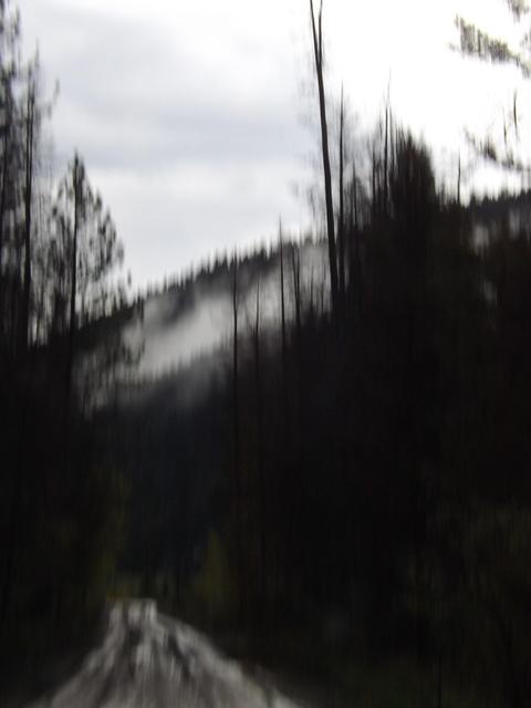 DSCF3158.JPG