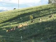 DSCF3161.JPG
