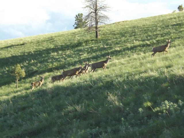 DSCF3162.JPG