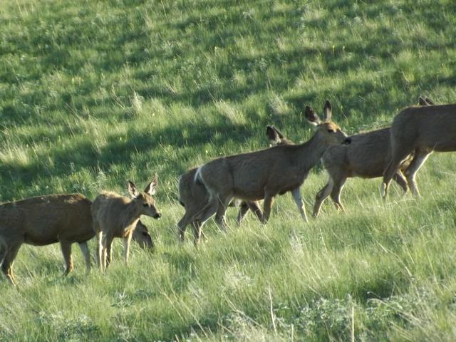 DSCF3164.JPG