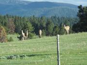 DSCF3167.JPG