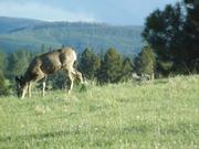 DSCF3171.JPG