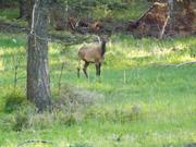 DSCF3174.JPG