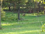 DSCF3176.JPG