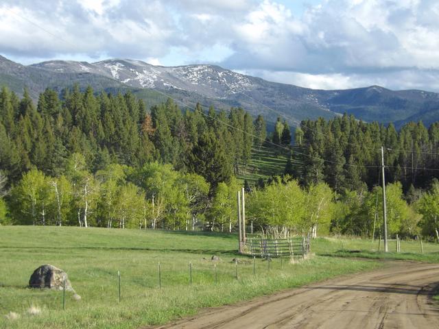 DSCF3178.JPG