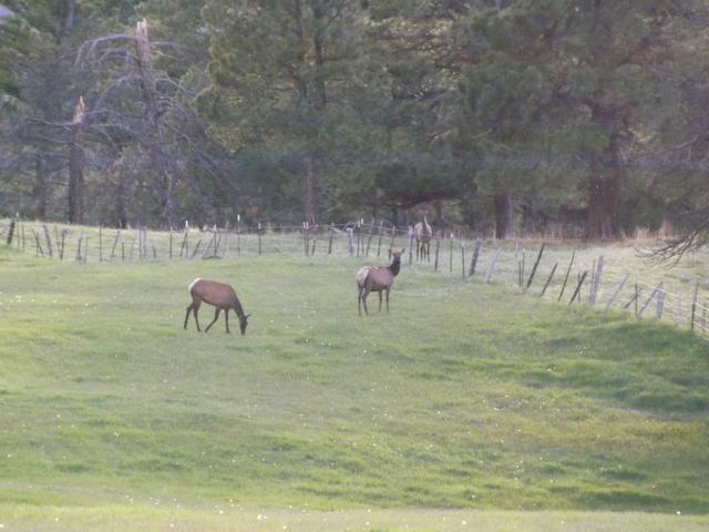 DSCF3181.JPG