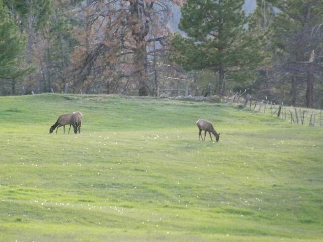 DSCF3182.JPG