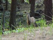 DSCF3184.JPG
