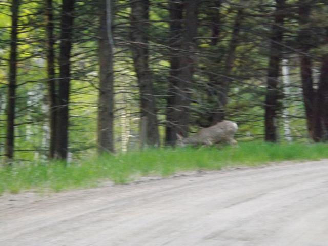 DSCF3187.JPG