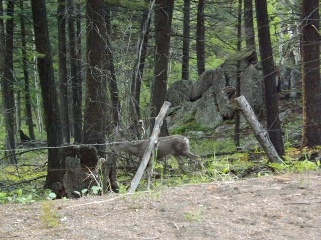 DSCF3188.JPG