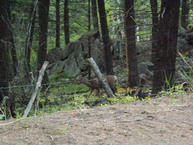 DSCF3189.JPG