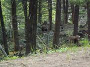DSCF3194.JPG