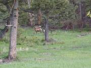 DSCF3204.JPG