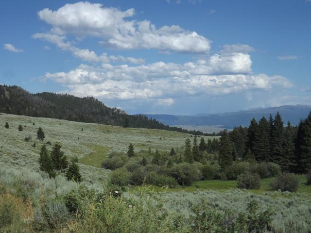 DSCF4047.JPG