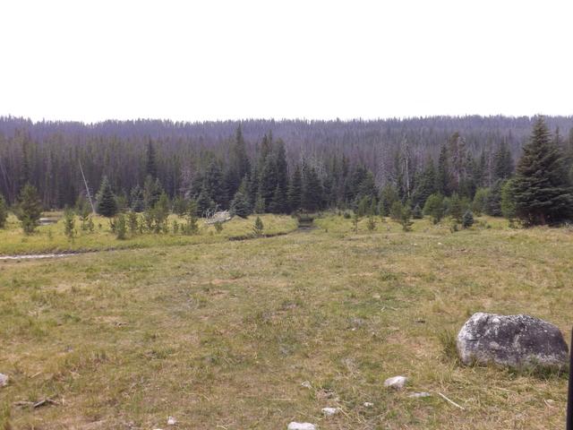 DSCF4077.JPG