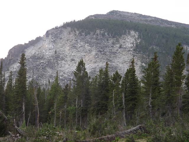 DSCF4119.JPG