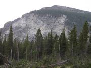 DSCF4119.JPG