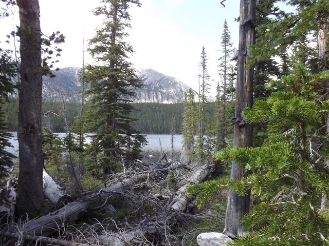 DSCF4138.JPG