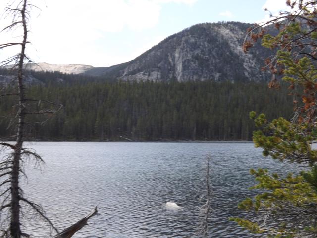 DSCF4140.JPG